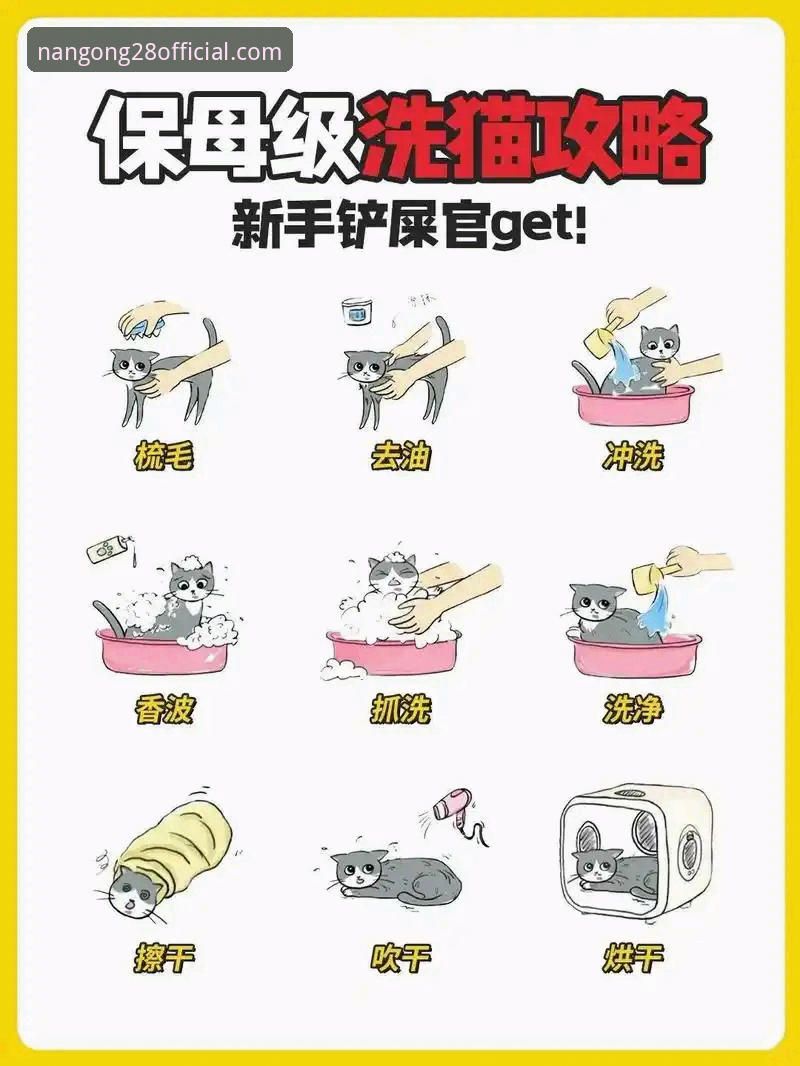 南宫28体验 新手必看:南宫28娱乐使用心得——从入门到畅玩的完整指南