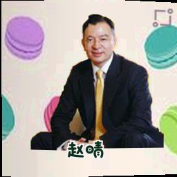 赵晴
